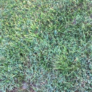 Meet your Posher, Logan